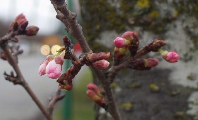 ��һ���^�������DƬ
 ============== 
���
