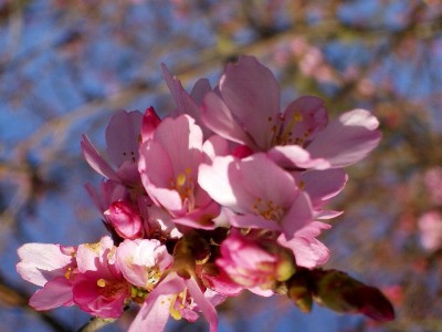 ��һ���^�������DƬ
 ============== 
һҊꖹ��ȫ�_��
