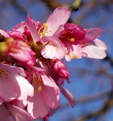 ��һ���^�������DƬ
 ============== 
����o�˰�С��һ��
