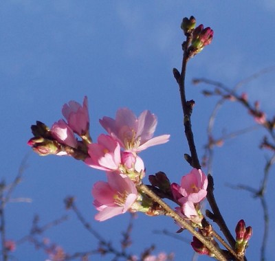 ��һ���^�������DƬ
 ============== 
��ֵ�
