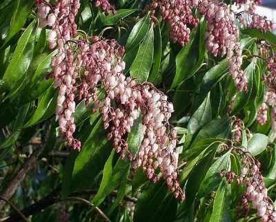 ��һ���^�������DƬ
 ============== 
�м��������_����߀������
