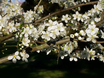 ��һ���^�������DƬ
 ============== 
����o��
