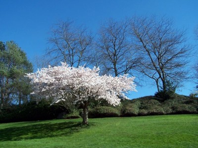 һ¹ۿͼƬ
 ============== 
ȥ
ؼ:  紺