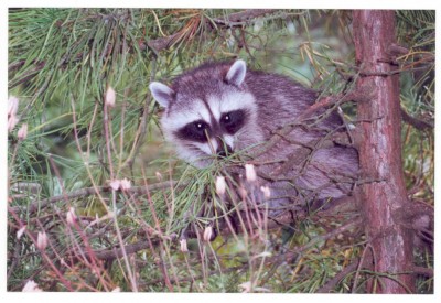 һ¹ۿͼƬ
 ============== 
