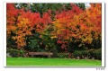DSC_7839s.jpg