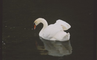 һ^DƬ
 ============== 
Ғ
