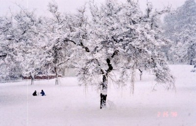 һ^DƬ
 ============== 
My place
