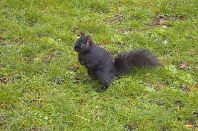 һ^DƬ
 ============== 

ݵϵ
PI: 