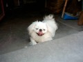 Imag0006.jpg