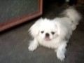 Imag0007.jpg