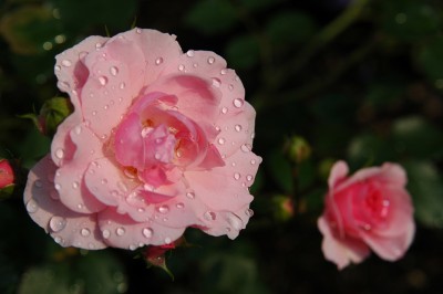 һ^DƬ
 ============== 
õ
ԷNġ
