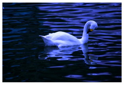 һ¹ۿͼƬ
 ============== 

Сɫ.
ؼ: 