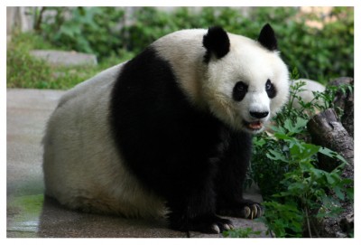 һ¹ۿͼƬ
 ============== 

(...)
2005.7.135ʱ37ֲ.

ؼ: è