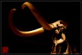 mammoth.jpg