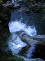 lynn Canyon South 002.jpg