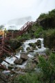 TN_IMG_3753.JPG