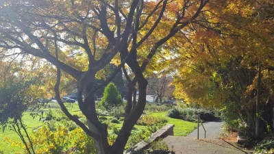 һ¹ۿͼƬ
 ============== 
