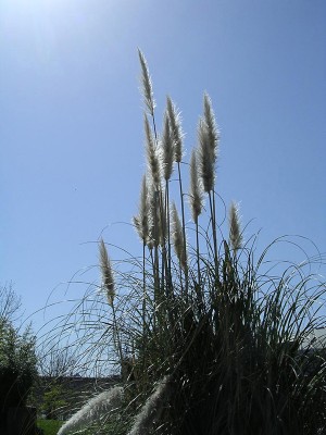 һ¹ۿͼƬ
 ============== 
ͼƬ
