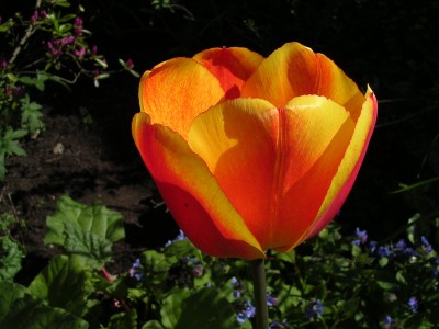 һ¹ۿͼƬ
 ============== 

