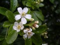DSCN4078.jpg