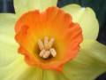 DSCN4091.jpg