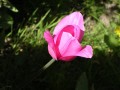 DSCN4457.jpg