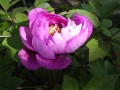 DSCN4539.jpg