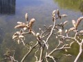 DSCN4572.jpg