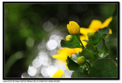 һ¹ۿͼƬ
 ============== 
Spring
