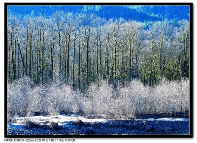 һ¹ۿͼƬ
 ============== 
Squamish
