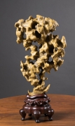 6c666849.jpg