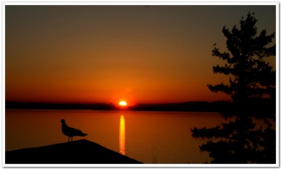 ��һ���^�������DƬ
 ============== 
