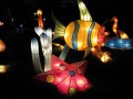 08090607.jpg