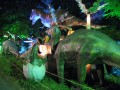 08090620.jpg