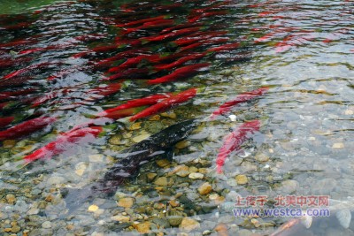 ��һ�¹ۿ�����ͼƬ
 ============== 
