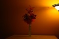 test 002.JPG