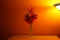 test 004.JPG