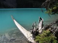 PICT0981.JPG