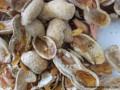 nuts1.jpg