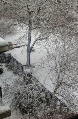 һ¹ۿͼƬ
 ============== 
