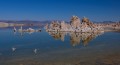 DSC_1759~0.jpg