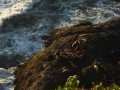 2010 07 US trip G7 106~0.jpg