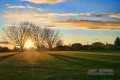 IMG_3050 s.jpg