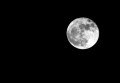 DSC03780.jpg