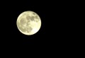 DSC03783.jpg