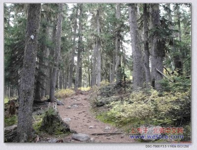 һ¹ۿͼƬ
 ============== 
ǰ6Trail
