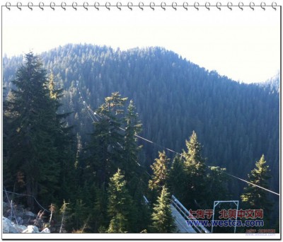 һ¹ۿͼƬ
 ============== 
Ziplines
