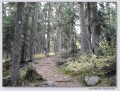 First 6km Trail.jpg