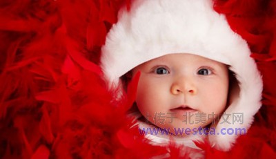 ��һ���^�������DƬ
 ============== 
