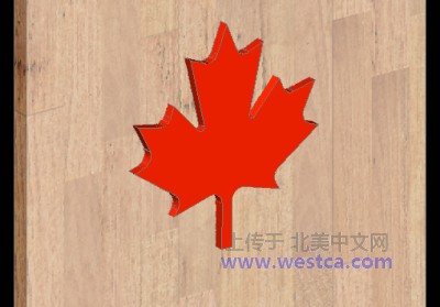 һ^DƬ
 ============== 
maple leaf
